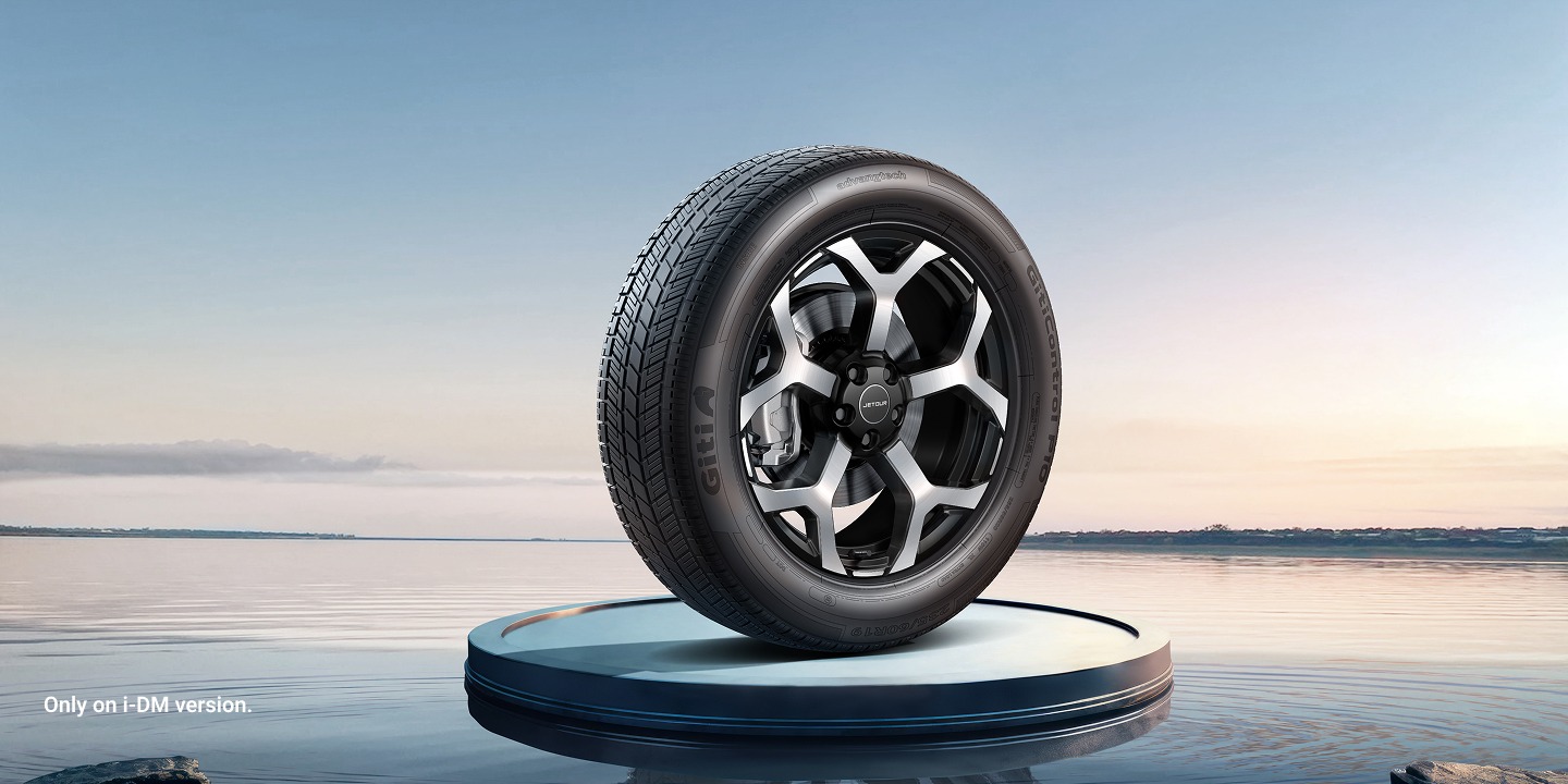 01-19” Wheels